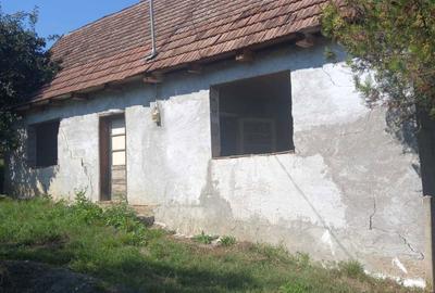 Casă cu 2 camere în Bichiș - 2