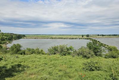 Liziera de Lac de vanzare vila 4 camere mobilat/utilat LA CHEIE! - 7