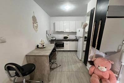 Apartament cu o camera zona Lunei - 13