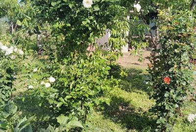 Casă cu 3 camere în Râmnicu Sărat - 9
