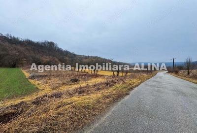 Teren extravilan 2.946 mp, situat in Satul Carjiti din Comuna Carjiti, Judetul Hunedoara. - 5