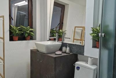 Garsonieră decomandată în Făget - 6