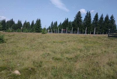 Teren de 8640 mp, în Beliș - 5