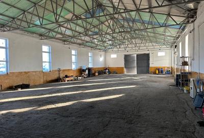 Spațiu industrial, 700 mp în Exterior Est
