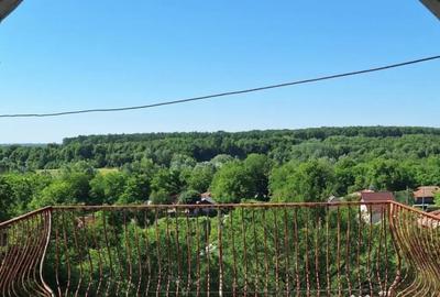 Teren de 5950 mp, în Scorțeni - 5