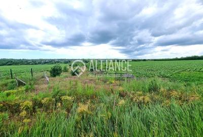 Teren agricol extravilan de 4000 mp, în Central - 2