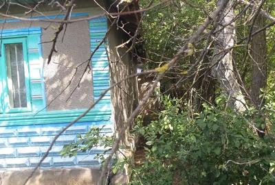 Casă cu 4 camere cu Teren 5000 Mp în Drăgănești - 9