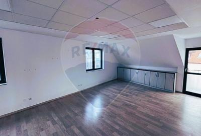 Spatiu de birouri de 180mp de inchiriat in zona Terezian - 7