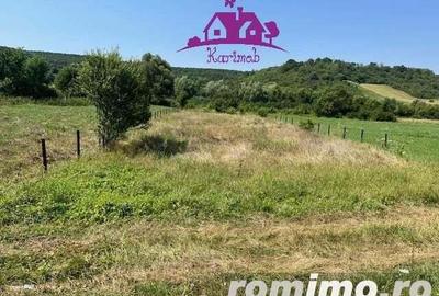 Teren intravilan Hidiselul de Sus - 2