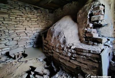 Teren Construcții intravilan de 2946 mp, în Micești - 16