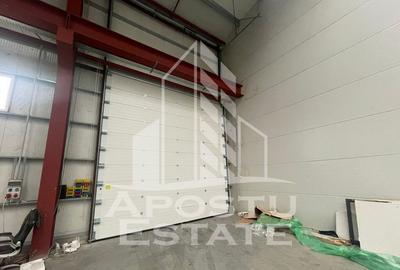 Hala 600 mp constructie noua Sacalaz - 5