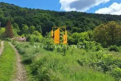 Casă cu 5 camere cu Teren 1304 Mp în Central - 2