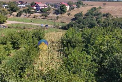 Teren de vanzare 1935 mp Piatra Neam? - Str. Plantelor - 1