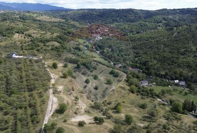 Teren Construcții intravilan de 33598 mp, în Autogară - 5