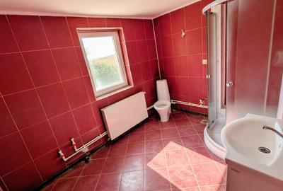 Casa individuala 5 camere P+M 196 mpt + 1200 mp teren asfalt - Horlesti (Rediu) - 16