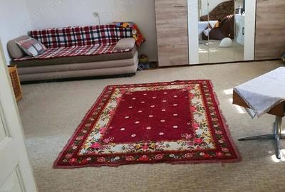 Casă cu 3 camere cu Teren 1360 Mp în Teremia Mare - 4