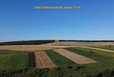 Teren de 1295 mp, în Mitocu Dragomirnei