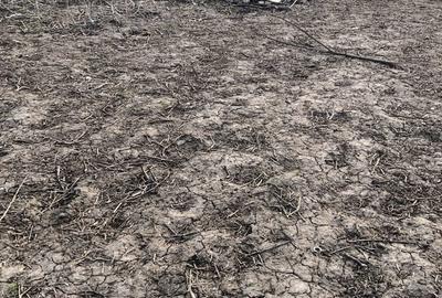 Spațiu comercial, în Independența - 3