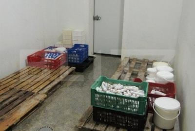 Cladire de vanzare (fosta fabrica de lactate) Cladire de vanzare (fosta fabrica de lactate) - 14