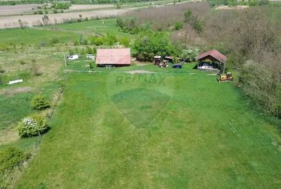 Teren de 659000 mp, în Copșa Mică - 3