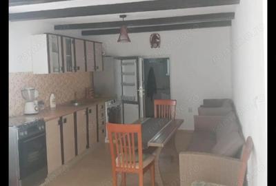Casă cu 2 camere cu Teren 500 Mp în Rusu Bârgăului - 7
