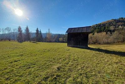 Teren de 8000 mp, în Vama - 2