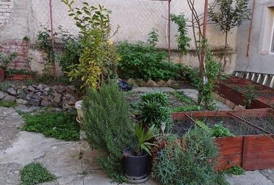 Casă cu 3 camere cu Teren 184 Mp în Odobescu - 14