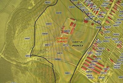 Teren de 130000 mp, în Armeni - 1
