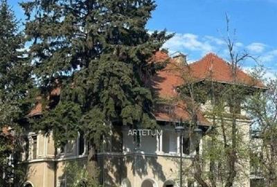 Vanzare vila Interbelica Primaverii - 5