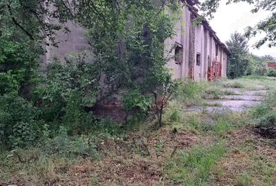 Vand hala + teren intravilan Vand hala + teren intravilan - 2