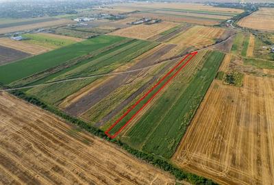 Teren 4.271 mp de vanzare  în Vladimirescu - 4