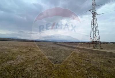 Teren de 4500 mp, în Ștrand