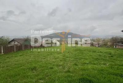 Teren de 2915 mp, în Vețel - 3