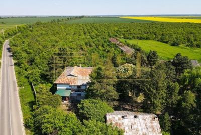| TEREN INVESTITIE | 10Ha ADUNATII-COPACENI | AEROPORT | - 1
