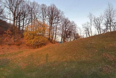 Teren de vanzare Nistoresti-Breaza 1100 mp, zona frumoasa langa padure, ideal pentru cabana la munte - 4