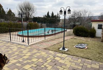 Vila P + Et 1, Gageni, 2010, piscina - 8