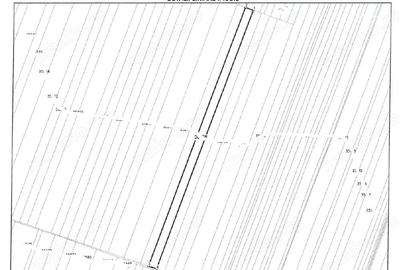 Cota de 1/4 din teren loc. Amarastii de Jos, Jud Dolj - 3