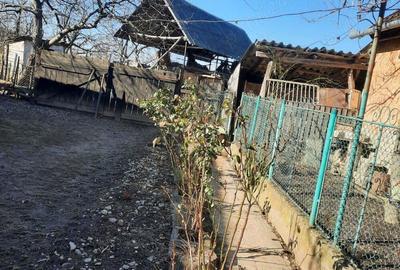 Casă cu 5 camere în Făncica - 3