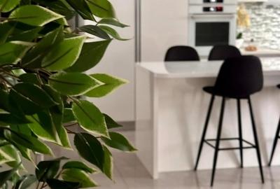 Apartament cu 3 camere decomandat în Braytim - 1