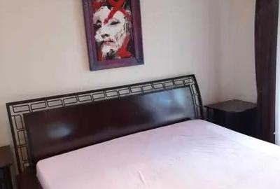 Apartament cu 4 camere în Unirii - 5