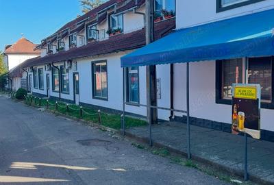 Spatiu comercial Restaurant - 3
