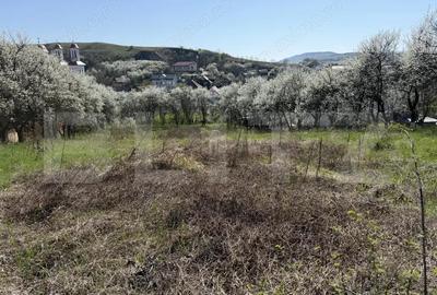 Teren de 2743 mp, în Crișeni - 4