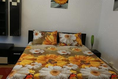 Garsonieră decomandată în Brazda lui Novac - 7