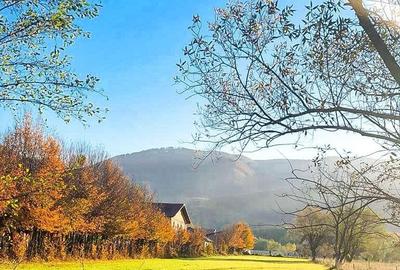 Teren de 2000 mp, în Sadu - 2