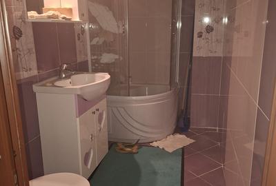 Apartament cu 2 camere decomandat, mobilat în Colentina - 12