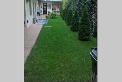 Spatiu de inchiriat - CENTRU - str.Regele Ferdinand - 2