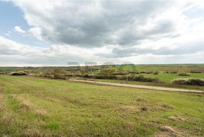 Teren intravilan Cetariu - 2