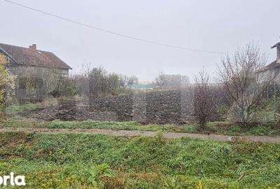 Teren de 27958 mp, în Vetiș - 2