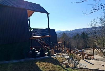 Casă cu 3 camere în Nistorești - 1