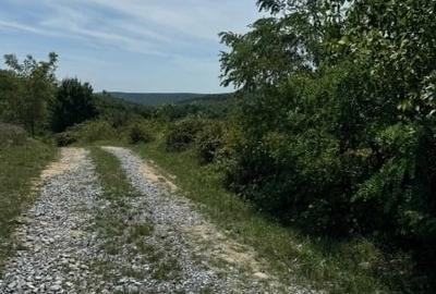 2500mp Bucium vedere deosebita - 2